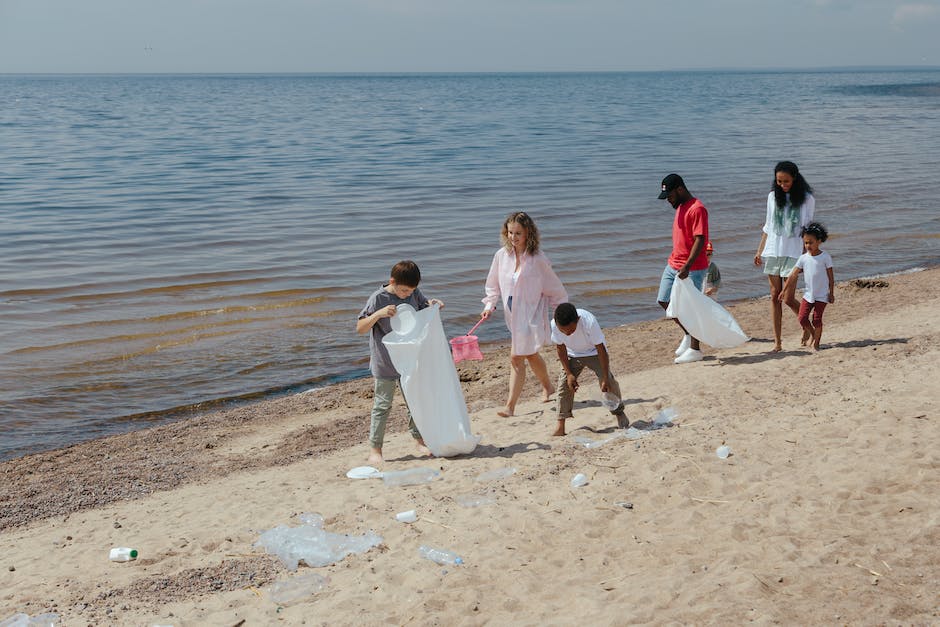 Voluntarios recogiendo basura en la playa aplicaciones informáticas